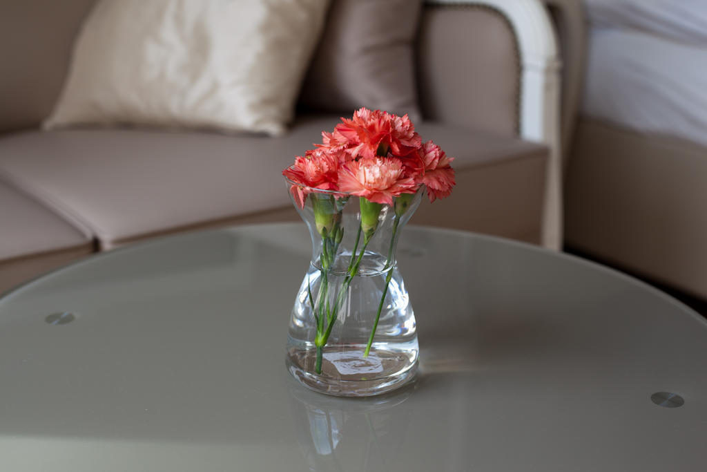 Sofie Apartments เวียนนา ห้อง รูปภาพ